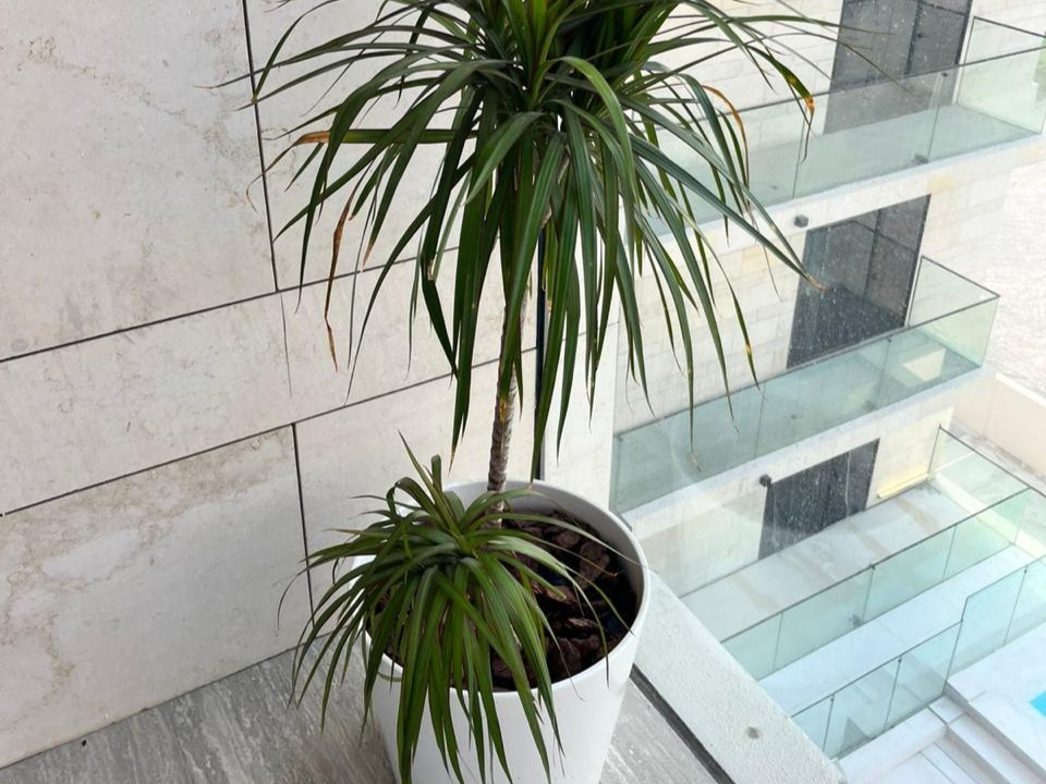 Daire Al Jaddaf - picture 15